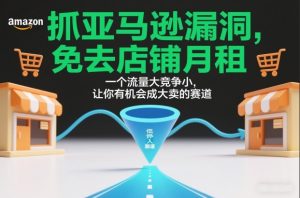 抓亚马逊漏洞，免去店铺月租，一个流量大竞争小，让你有机会成大卖的赛道-知一资源网