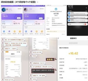 当天能收益的3个小项目拆解_包括平台+操作流程-知一资源网